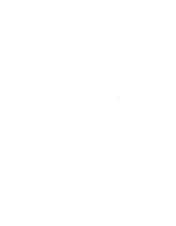 DeveloperTimeline